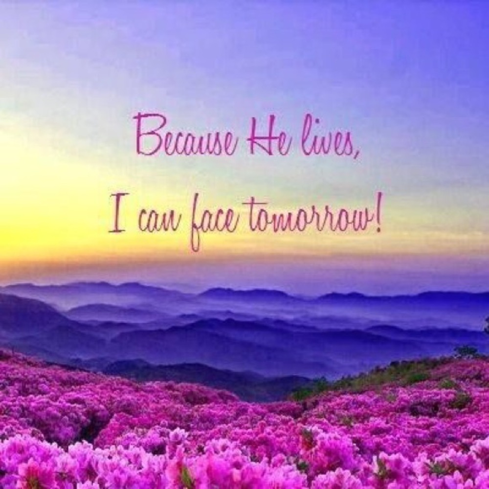 Meet your Posher, Evelyn